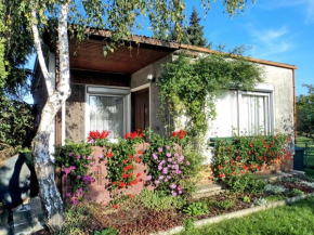 Bungalow Krzyzaniak